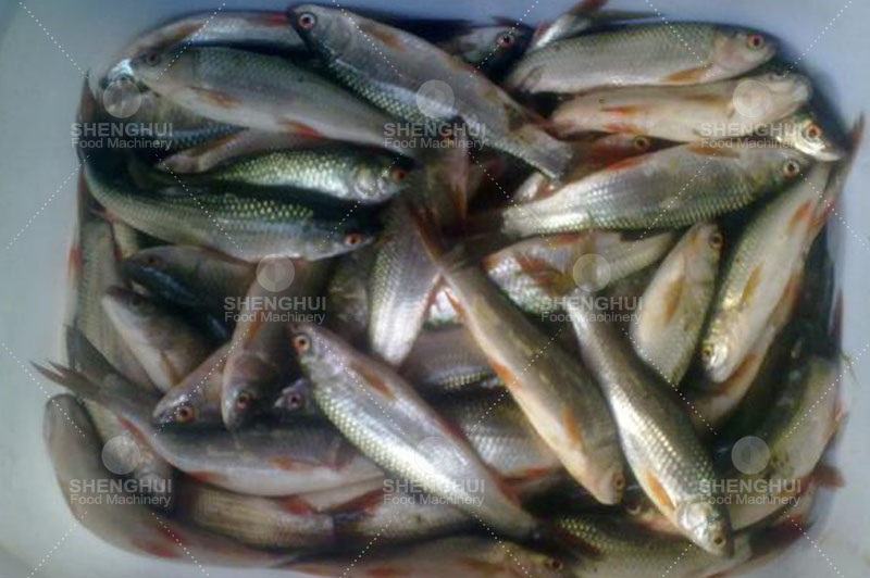 آلات الغذاء (2)