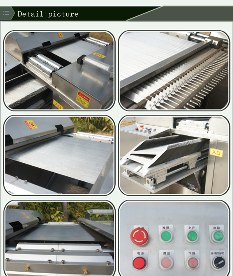 تقطيع صدور الدجاج