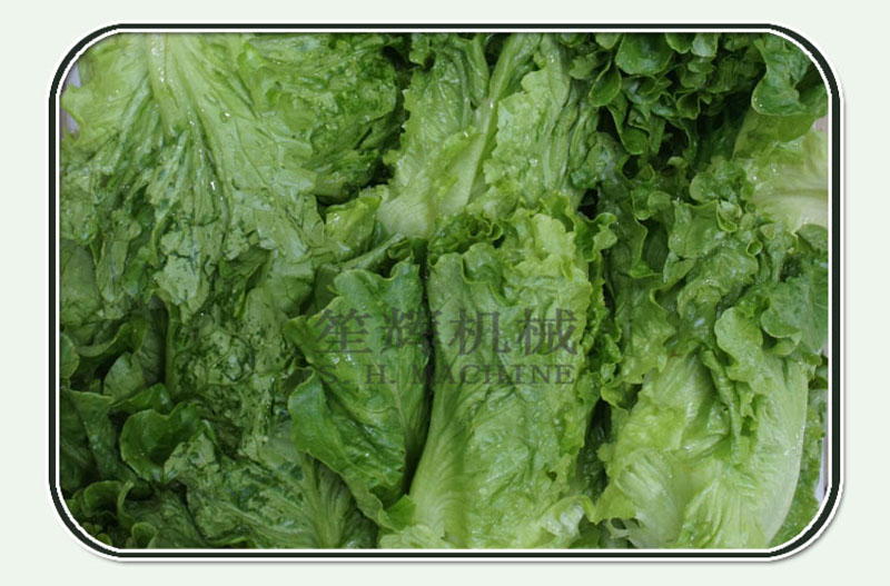 غسالة الكرفس