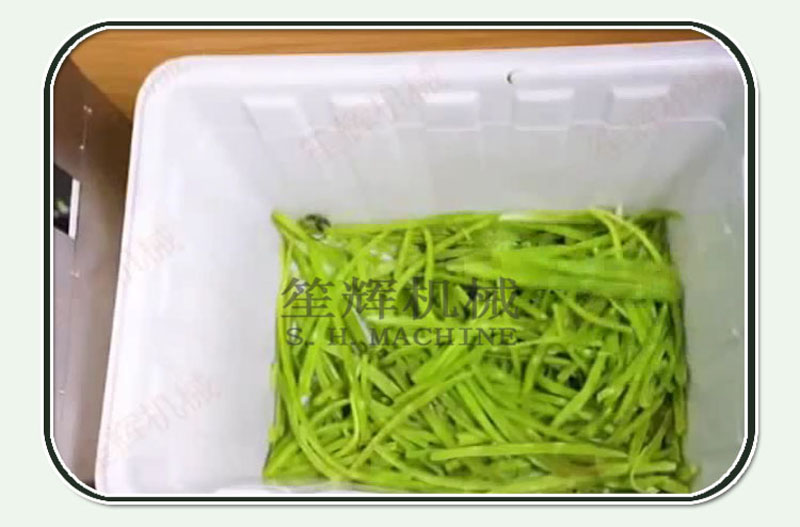 آلة تجهيز الخضروات