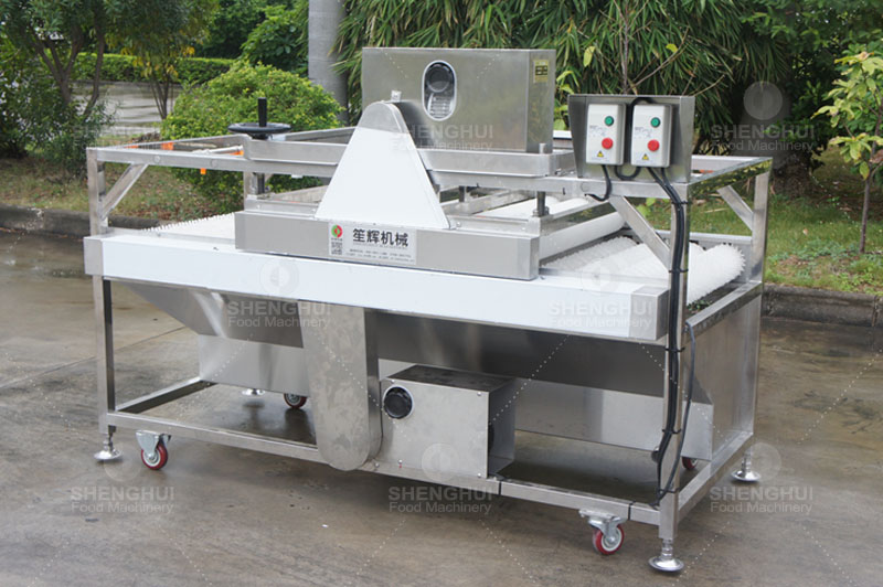 آلة تنظيف الفاكهة 1