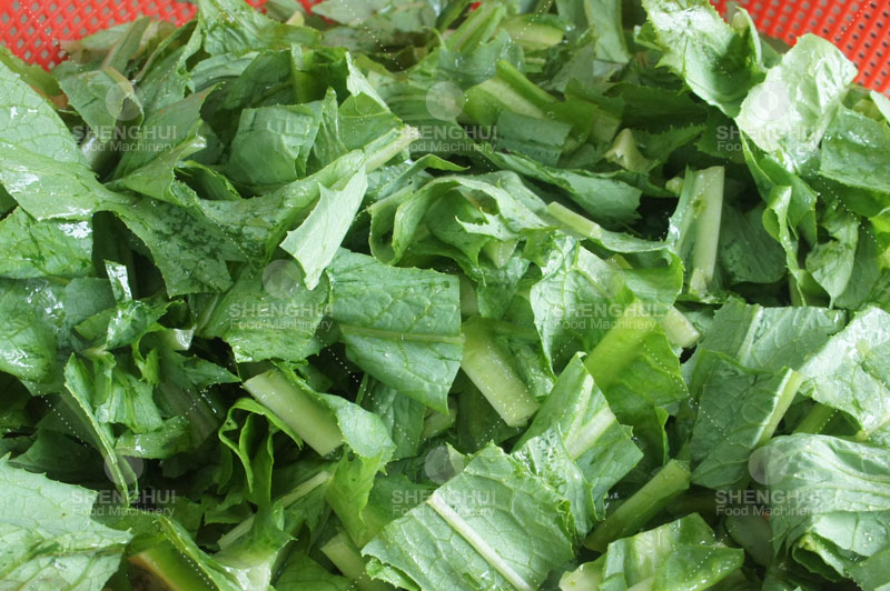 اللحوم آلة التجفيف