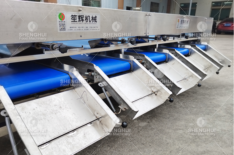 آلة فرز الفاكهة (16)