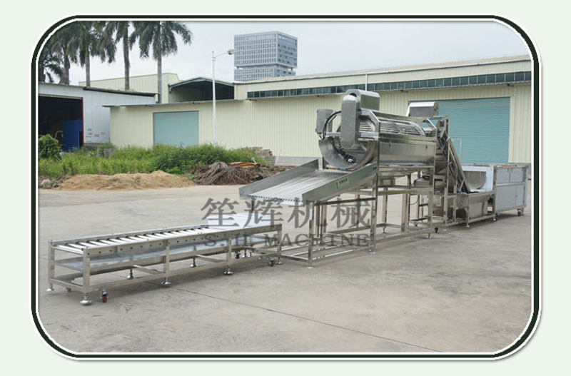 خط تجهيز الأسماك