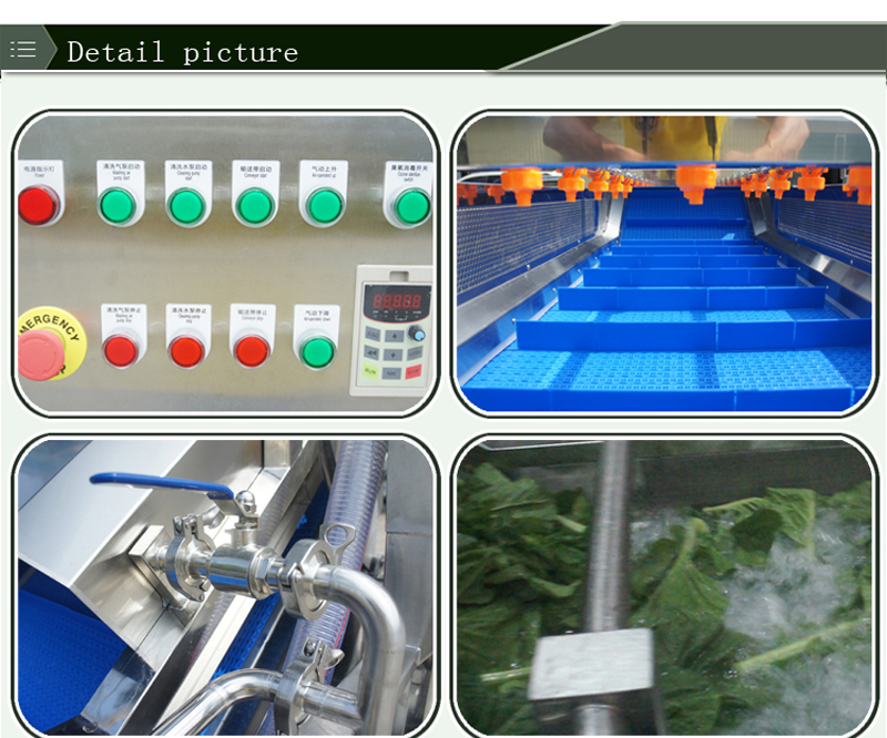 غسالة الليمون