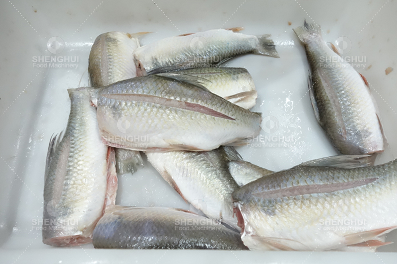 قطع رأس السمكة