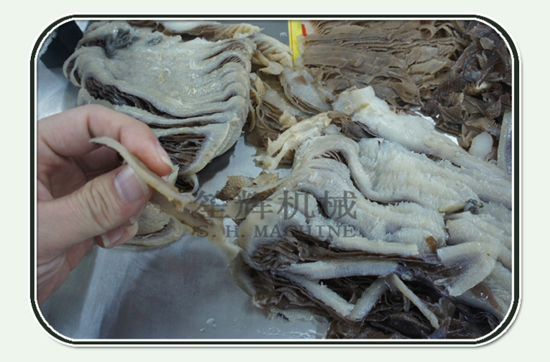 فيليه السمك آلة الغذاء