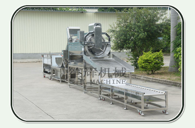 آلة فرز الأسماك