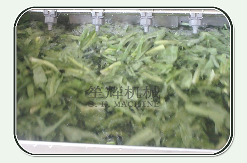 آلة تنظيف الفاكهة آلة الغذاء