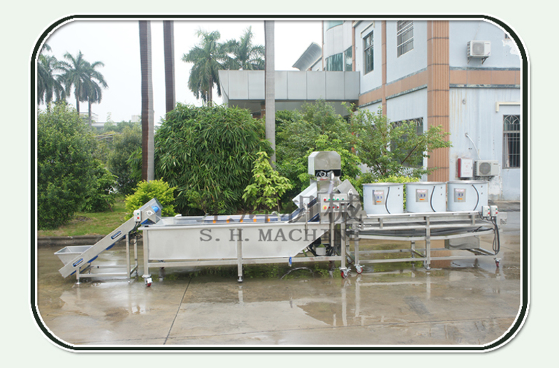 آلة تنظيف الفاكهة