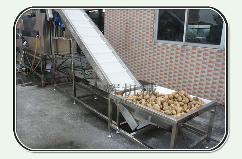 ناقل الفاكهة