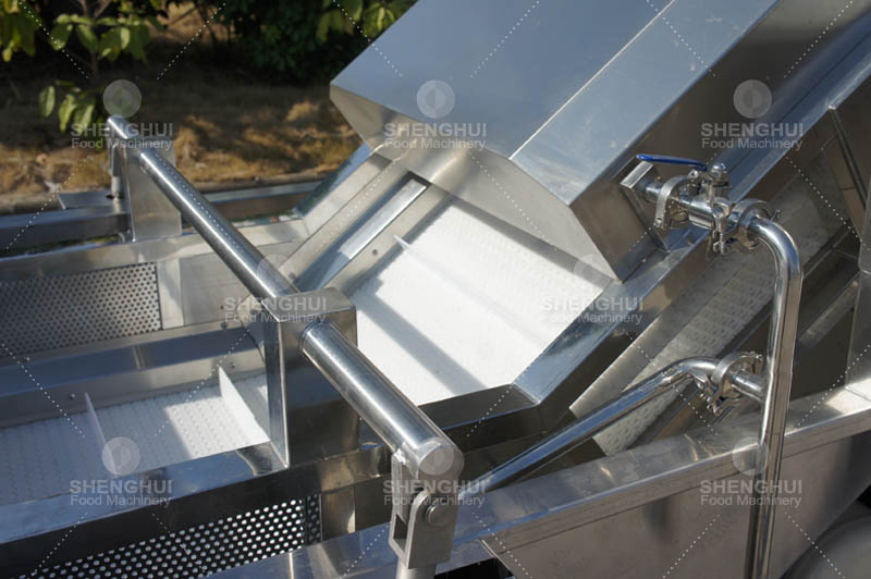 غسالة الفاكهة (2)