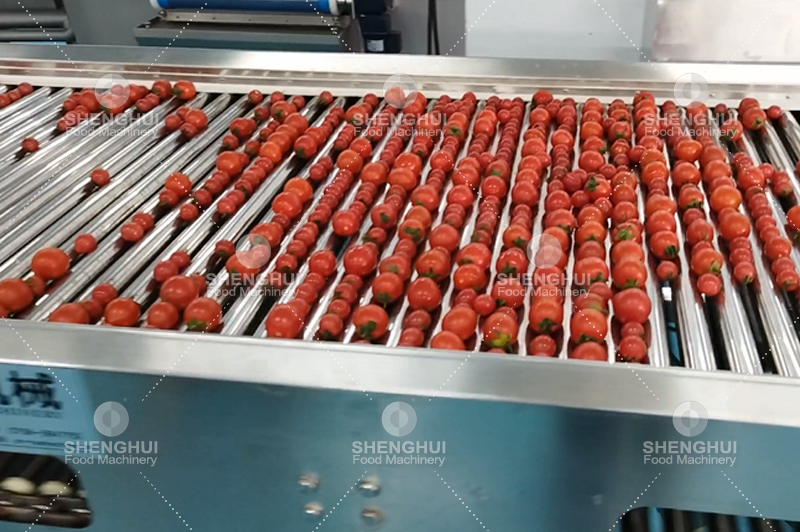 آلة فرز الفاكهة (13)