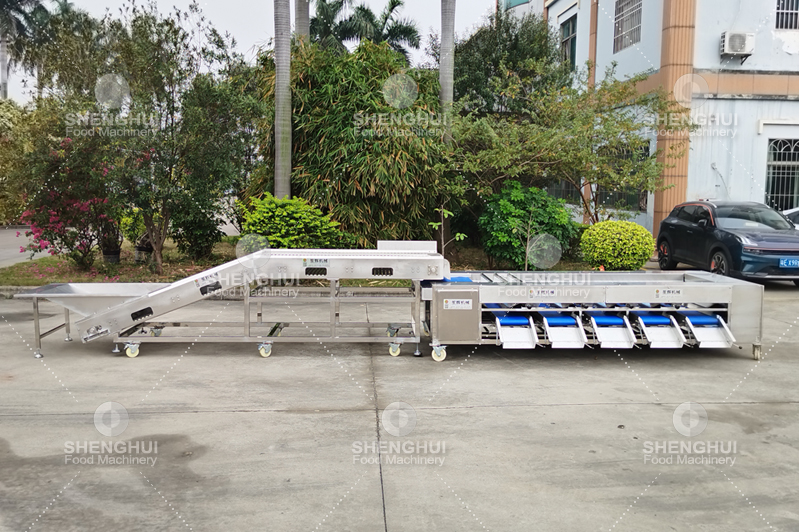 آلة فرز الفاكهة (1)