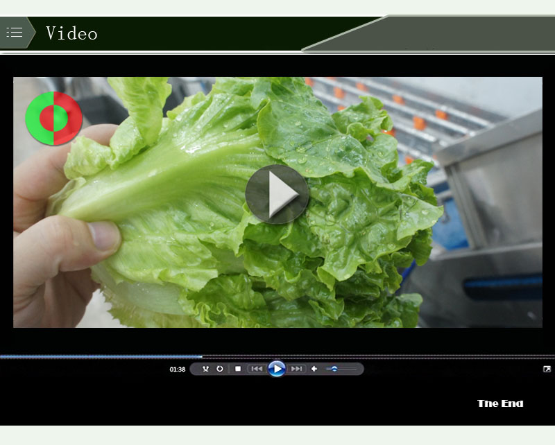 آلة تنظيف السلطة1