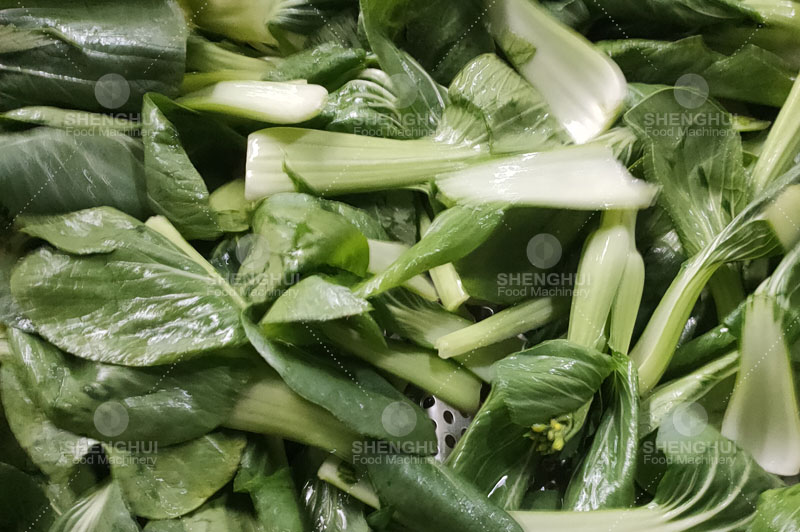 فقاعة غسالة1