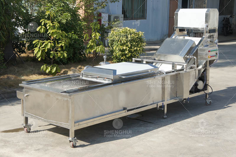 غسالة الفاكهة1