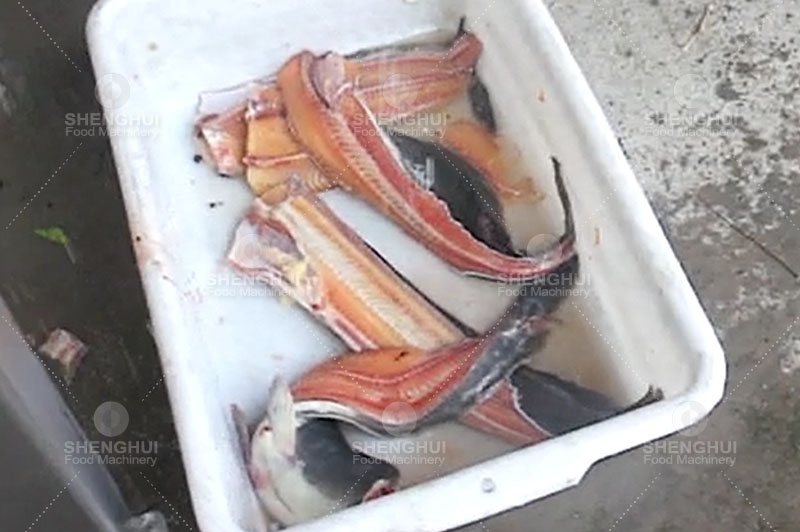 آلة قطع الأسماك (3)