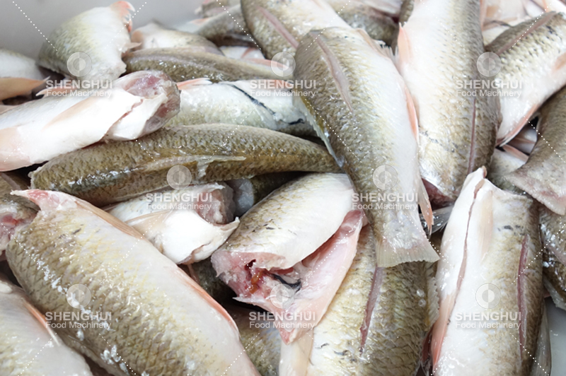 غسالة أسماك (4)