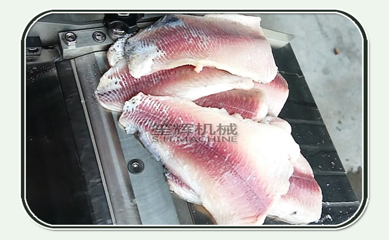 كيفية الجلد skinner آلة الأسماك shenghui السمك