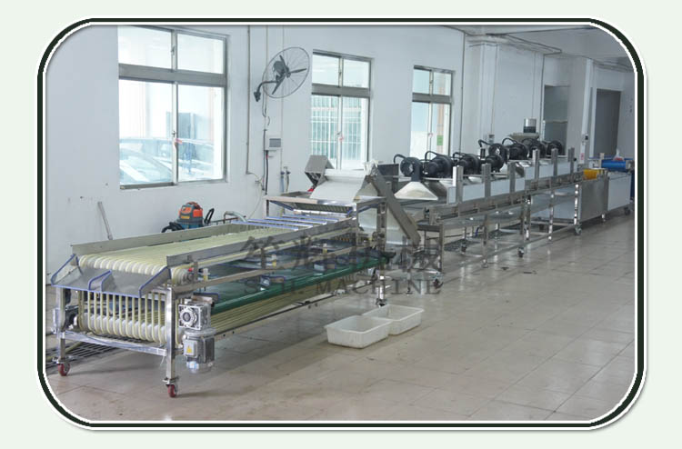 الفاكهة آلة الفرز