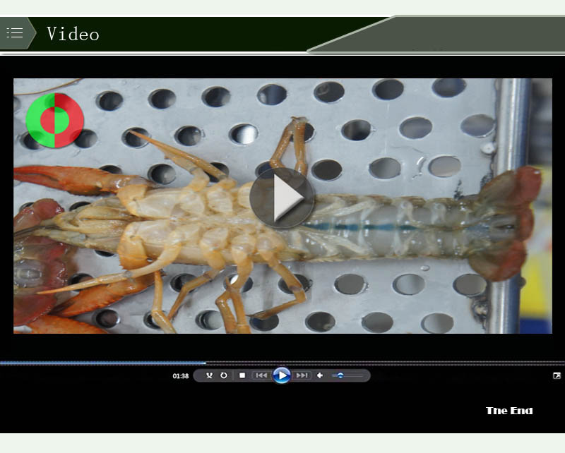 معدات الغذاء 4