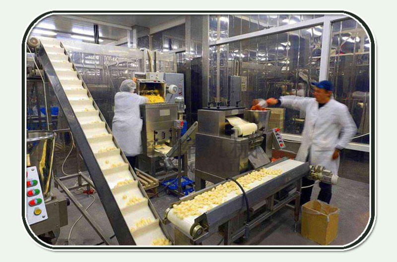 خط انتاج الخوخ