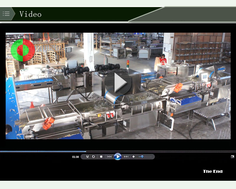 خط إنتاج آلة الأوزون للخضروات والفواكه
