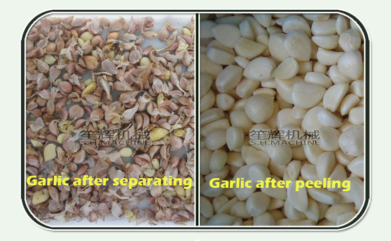 آلة فصل الثوم