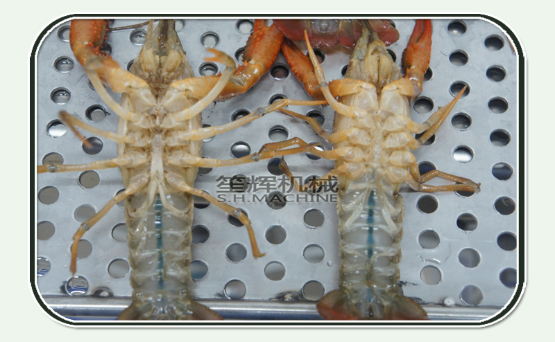 آلة غسل الخضروات نظيفة