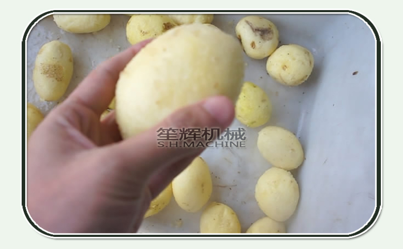 الجزرة تقشير البطاطس تقشير الجهاز