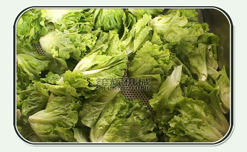 غسالة الأوزون غسالة الخضار