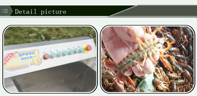 آلة تجهيز الأسماك