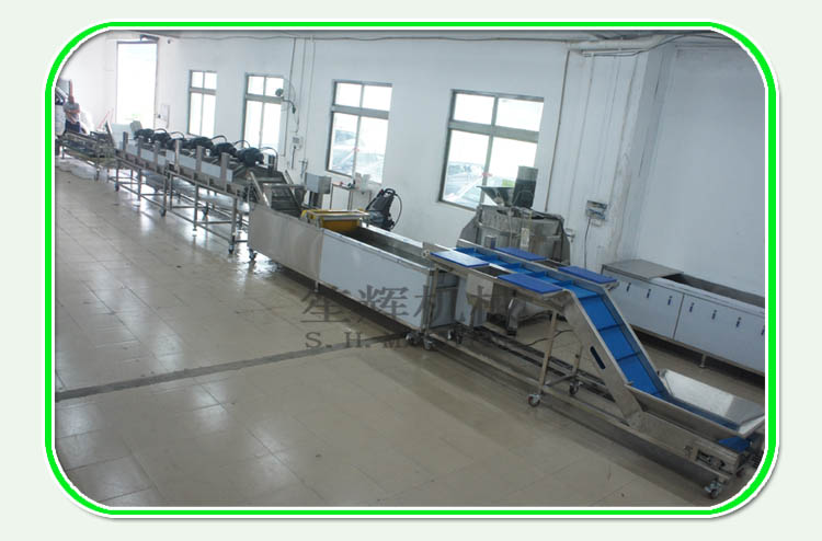 عرض خط انتاج الفاكهة المقدسة