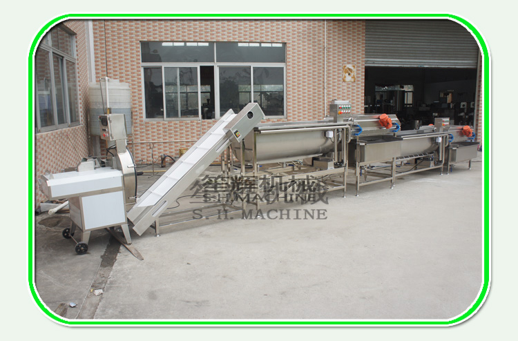 الخضار الورقية غسالة