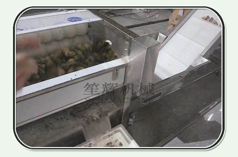 نوريكو تجهيز الخط 1