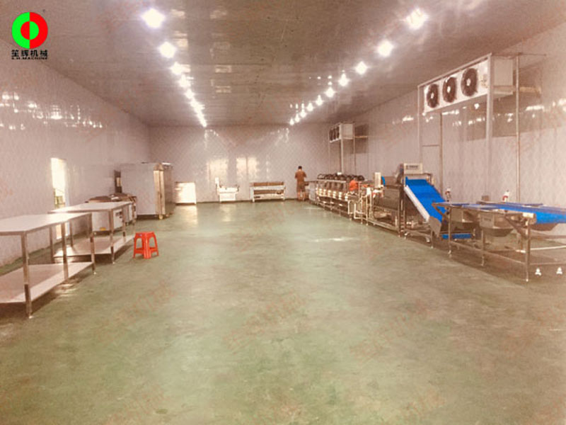 خط غسل الخضروات